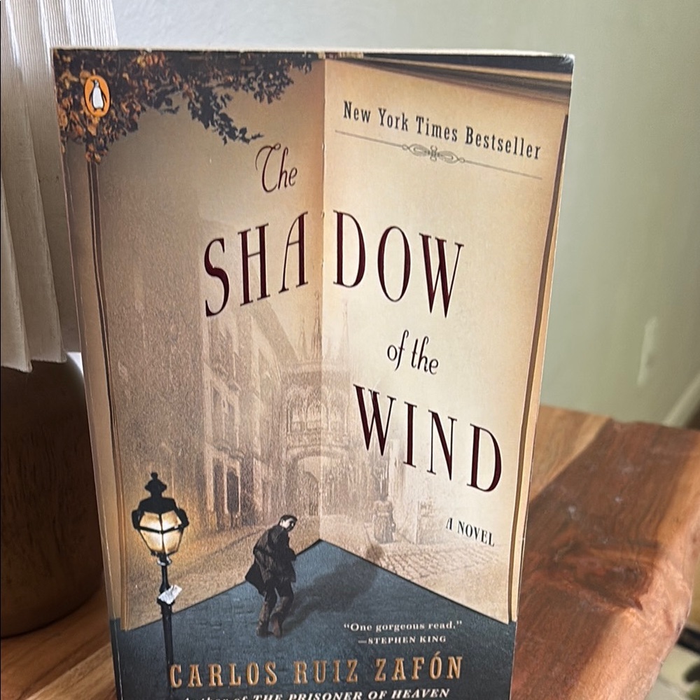 The Shadow of the Wind Novel